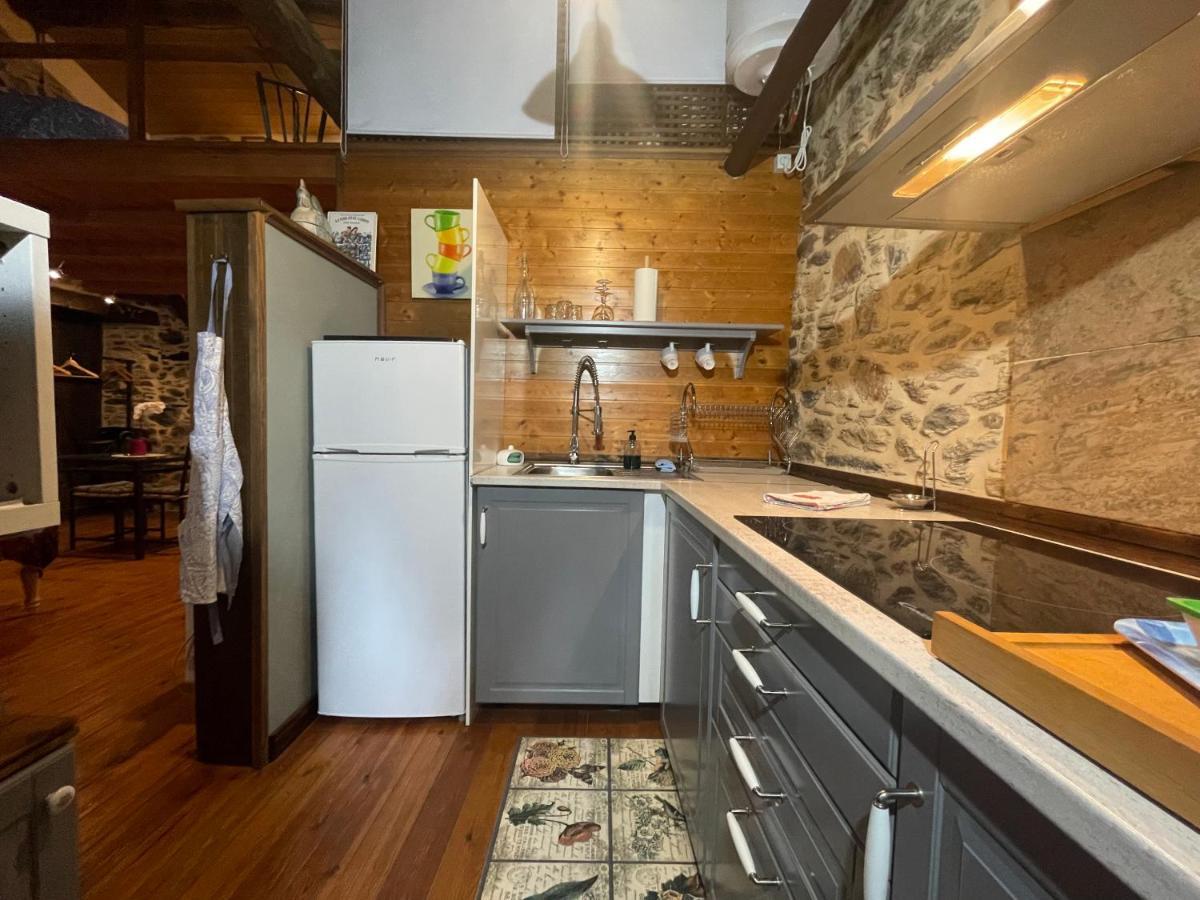 Apartamento Felicitas En La Casa De Cobos, Ribeira Sacra Puebla Del Brollon 외부 사진