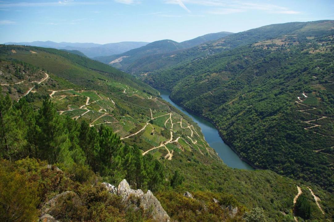 Apartamento Felicitas En La Casa De Cobos, Ribeira Sacra Puebla Del Brollon 외부 사진